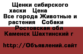 Щенки сибирского хаски › Цена ­ 12 000 - Все города Животные и растения » Собаки   . Ростовская обл.,Каменск-Шахтинский г.